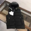 Wit eendendons vest met capuchon voor heren en dames met eenvoudige mouwloze jas herfst en winter nieuw dezelfde mode los verdikt thermisch vest