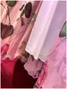 2023 Summer Pink Floral Print midja bälte klänning långärmad rund hals långa maxi casual klänningar a3q122246