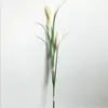 Decoratieve bloemen 1,2 meter hoog Vloer tot riet Simulatie Groene plant Gras High-end woonkamer Bloem Kunstmatig