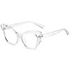 Lunettes de soleil transparentes ordinateur lunettes cadre femmes hommes Anti lumière bleue papillon lunettes bloquant optique Spectacle lunettes