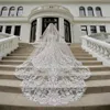 재고가있는 아플리케와 함께 예배당 길이 신부 베일을 판매합니다. 긴 결혼식 베일 2019 vestido de noiva longo wedding veil v140234z