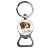 Клавицы Suteyi Pet Dog Bottle Opener Держатель цепочка Стекло купол закупленное пудель картинка для мужчин Женщины животные украшения