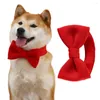 Vestuário para cachorro elegante alça para pescoço coleira para gato elegante enfeitar lacinho para animal de estimação