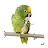 Другие птицы поставляют попугай питомец жевать клетку, висящая игрушечная веревка, цветы пещеры.