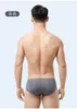 Slip été sous-vêtements en soie de glace hommes Sexy Triangle translucide taille basse Hombre Shorts troncs slips