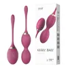 Ovos Balas de Silicone Para Halteres Brinquedos Sexuais Feminino Conjunto de Bolas Sexshop 230804