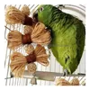 Autres Fournitures Pour Oiseaux Jouet À Mâcher Naturel Pour Perroquet De Compagnie Aw Africain Gris Perruche Perruche Cockatiels Conure Inséparable Bites Swing Cages Jouets Dhlaj