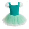 Scene Wear Green Princess Dancer Dress Kids Girls Mesh Tutu Ballet Dance Costume Open Crotch Gymnastics Leotard Ballerina Dancewear