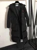 Veste d'hiver Femmes Long Chaud Puffer Manteau Designer Veste Rouge Monogrammé Bande Logo Personnalisé Matériel Zipper À Capuchon Coton Manteaux Vestes Pour Femme