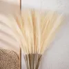 Dekorativa blommor Boho Pampas Reed Grass Fake Flower Plant Wedding Decoration 55cm 10st Pompas Floral Bouquet Home Room Decor Artificial