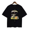 Coconut Tree Summer Beach Palm Sport-T-Shirt, amerikanisch, trendig, kurze Ärmel, Rundhalsausschnitt, locker lässig