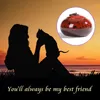 Other Cat Supplies Handmade Ceramic Pet Urn for Small Dogs Cats Rabbits Animals Memorial Cremation Ash Funeral Burial Keepsake 230804