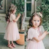 Carino Blush Pink Flower Girl Abiti Sparkly Tea-Lunghezza Festa di compleanno Abito da spettacolo Paillettes Abito da sposa formale2889