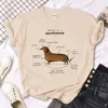 القمصان thirts للرجال dachshund thirts نساء قميص مضحكة ملابس الشوارع الإناث