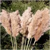 Coroas de flores decorativas 20 hastes pampas grama buquê de flores secas uso decoração de natal artificial decoração de outono drop delivery h dhh0w