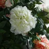 Dekoratif çiçekler 70cm gül pembe ipek şakayık yapay buket düğün ev diy dekor aksesuarları zanaat sahte çiçek aranjman