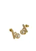 2023 Womens Premium Gold Earring Designer Stud Earring Luxury Brand Letter Design Oorbellen Mode-sieraden F1