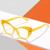 Lunettes de soleil transparentes ordinateur lunettes cadre femmes hommes Anti lumière bleue papillon lunettes bloquant optique Spectacle lunettes