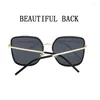 Óculos de Sol Oversized Feminino 2023 Trendy Polarized Square Fashion Sun Glasses Luxe Femme Lentes De Sol Mujer Lunette Soleil