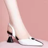 Klänningskor Kvinnor Fashion Multi Color Black Pu Leather Slip on Square Heel Pumps Lady Classic Beige High Quality Comfort Heels