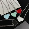 Ontwerp Dames zilveren hart Stijl Ketting Hanger Ketting Ketting S925 Sterling Zilver hart minnaar merk Hanger Charm