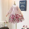 Abiti da ragazza Primavera Ragazze Abito da principessa Manica lunga Abbigliamento per bambini Floreale Dolce Festa in famiglia Usura Tulle Neonate Vestono Abiti 3-14 anni