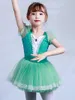 Scene Wear Green Princess Dancer Dress Kids Girls Mesh Tutu Ballet Dance Costume Open Crotch Gymnastics Leotard Ballerina Dancewear