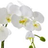 Seramik Tencerede 19 Beyaz Phalaenopsis Orkide Yapay Bitki