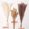 Flores decorativas 100 pçs Pampas Grama Fluffy Phragmites Quarto Decoração de Casa Rabo Seco Natural Reed Bouquet Para Decoração De Casamento