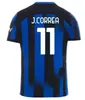 2023 2024 Inter Lukaku Soccer Jerseys Fans Joueur Version Dzeko Lautaro 2023 2024 Barella Calhanoglu Childre