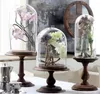 Vasen, transparente Abdeckung, Landschaft, Terrarium, Behälter, Hochzeit, Deckel, Vase, Flasche