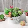 Fiori decorativi 11Pcs Piante artificiali Piante grasse senza vaso Paesaggio finto Mestiere Autunno Decor Autunno Succulente Vivas Ornamenti