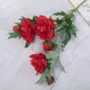 Dekorativa blommor pseudo jiluo peonies simulerade och gröna växter grossist bröllop dekoration hantverk ins stil