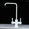 Kökskranar Dual Handle Pure White Purifier Faucet Black Slange Drinking Water Tap