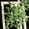 Symulacja kwiatów dekoracyjna Daisies Słoneflowers Wiszące orchidee ścienne plastikowe fałszywe rattan wnętrza wyposażenie salonu
