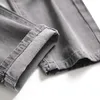 Men's Jeans Grey Casual Everyday Pants Trend Plus Size Ripped Straight Trousers Fashion Denim Shabby