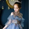 Cute blue Little Girls Pageant Dresses 3D Floral Appliques Toddler Ball Gown Flower Girl Dress Floor Length Tulle Ball Gown Princess Holy Fisrst Communion dress