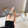 Sunglasses Fashion Anti-blue Light Glasses Women Cat Eye Eyeglasses Frame Oval Designer Oversized Optical Frames Clear Eyewear