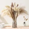 Fleurs décoratives 35 pièces pampa séchées Bouquet de fleurs naturelles pour la décoration intérieure jardin mariage Decoracion Vase ornements accessoires