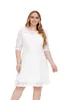 Plus Size Dresses Contrast Lace Semi Sheer 3/4 Sleeve Midi Dress Women's Slight Stretch Elegant