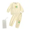 4 styles In stock Children Clothing Toddler Brand Sets Autumn Sports Suit Fashion Boys Girls Sweatshirts Pants Outfit Suit Kids Tracksuit For 2Pcs/Set