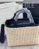 Designers Fashion Luxury Women's Totes Sacs à main New Patterm Personnalité Spacieux Body Women Woven Bag