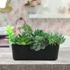 Fiori decorativi 11Pcs Piante artificiali Piante grasse senza vaso Paesaggio finto Mestiere Autunno Decor Autunno Succulente Vivas Ornamenti