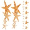 Flores decorativas 100 peças estrela do mar enfeitam decoração de mesa artesanato faça você mesmo