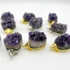 Sieraden Zakjes Groothandel Natuurlijke Amethist Quartz Crystal Cluster Metalen Egel Originele Stenen Specimen Woondecoratie Ambachten