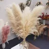 Decorative Flowers Wedding Props Fluffy Natural Dried Pampas Grass Artificial Rose Arrangement Table Flower Arch Decor Home Floral