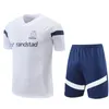 2023 Marseillees Tracksuits Short sleeves vest soccer jerseys Training suit 23 24 new marseilles chandal futbol maillot de football shirt