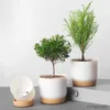 Planters Pots Pot Bunga Ringan Pot Tanaman Sukulen Lapisan Ganda Pot Bunga Sukulen Untuk Taman