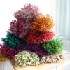 Dekoratif çiçekler 100g kristal çim doğal gerçek kurutulmuş çiçek buket boho ev düğün dekorasyonu için ev diy yapay sevgililer