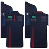 2023 f1 equipo nueva camiseta polo ropa cuatro temporadas Fórmula Uno nueva ropa de carreras oficial custom173o